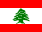 Flag of 