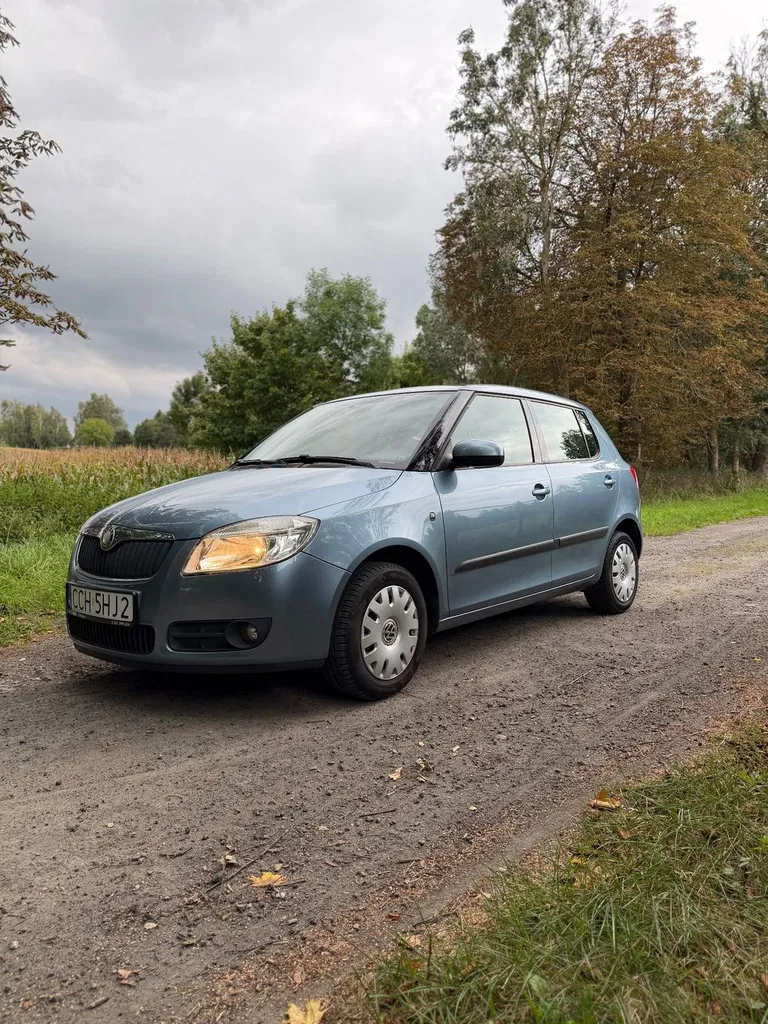 Zdjęcie: 2009 Skoda Fabia
