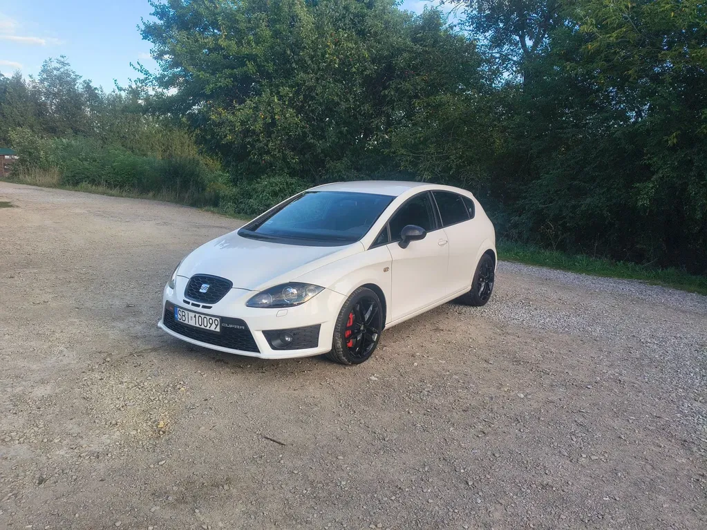 Zdjęcie: 2010 Seat Leon