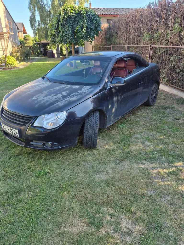 Zdjęcie: 2008 Volkswagen Eos