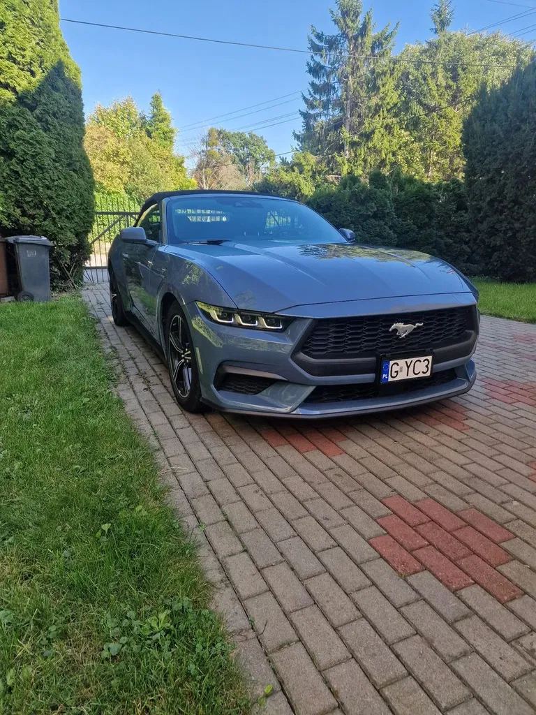 Zdjęcie: 2024 Ford Mustang