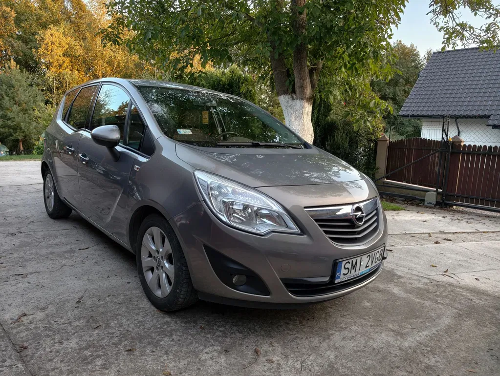 Zdjęcie: 2010 Opel Meriva