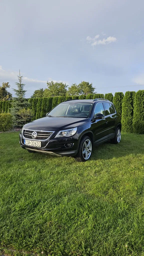Zdjęcie: 2008 Volkswagen Tiguan