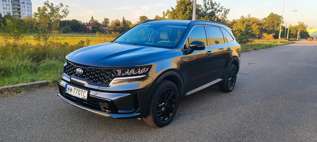 Zdjęcie: 2021 Kia Sorento