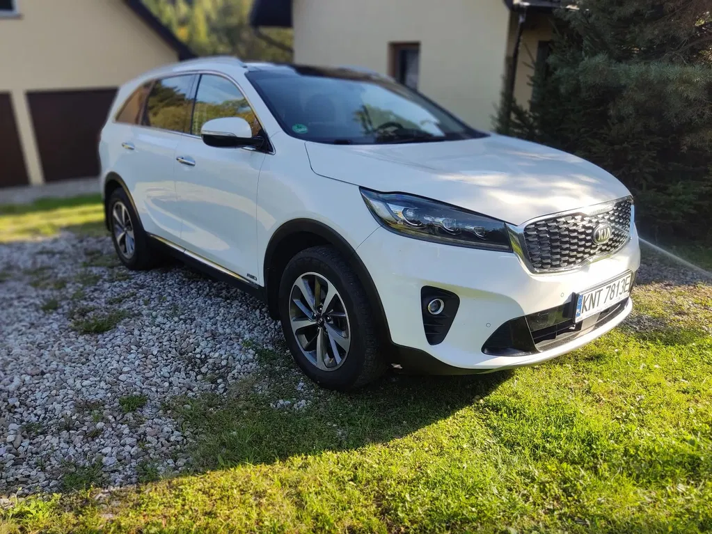Zdjęcie: 2019 Kia Sorento