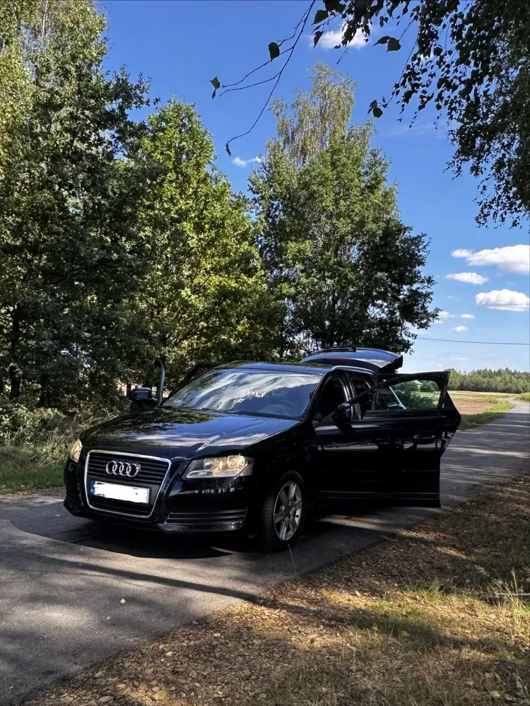 Zdjęcie: 2008 Audi A3 Sportback