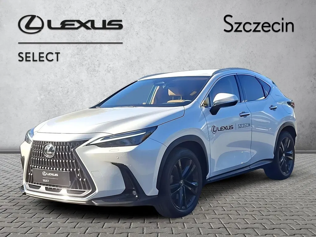 Zdjęcie: 2024 Lexus NX