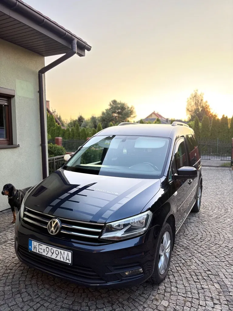 Zdjęcie: 2016 Volkswagen Caddy