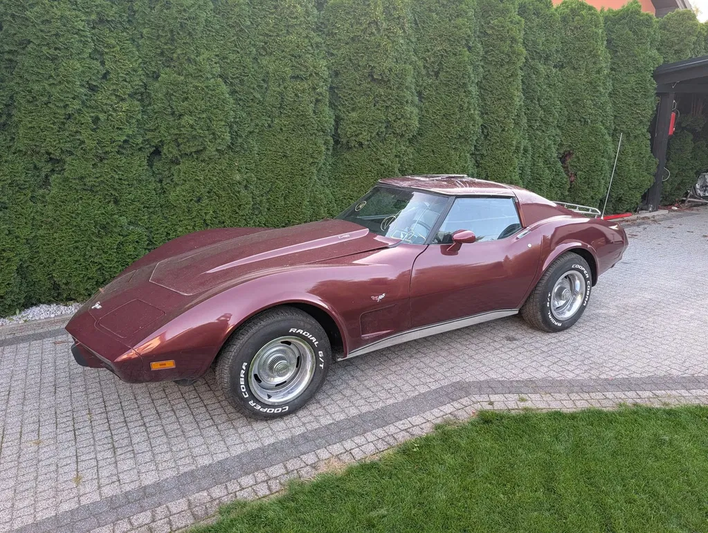 Zdjęcie: 1977 Chevrolet Corvette