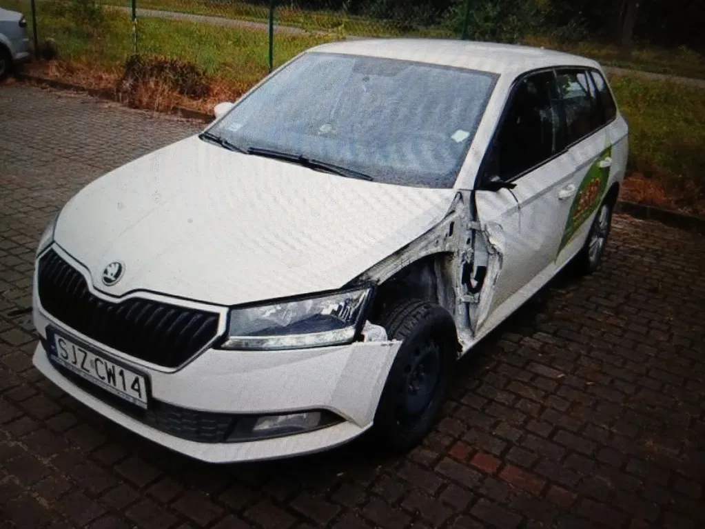Zdjęcie: 2021 Skoda Fabia