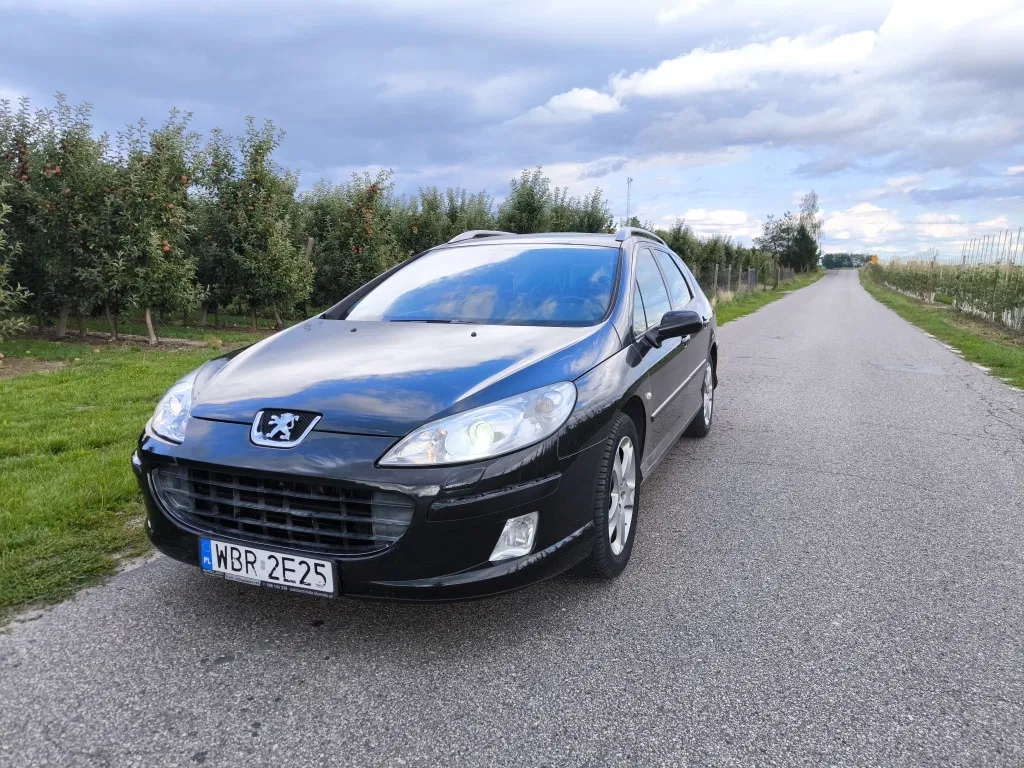 Zdjęcie: 2005 Peugeot 407