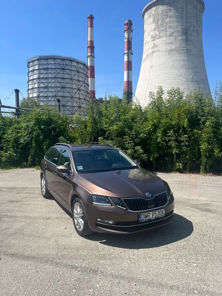 Zdjęcie: 2019 Skoda Octavia