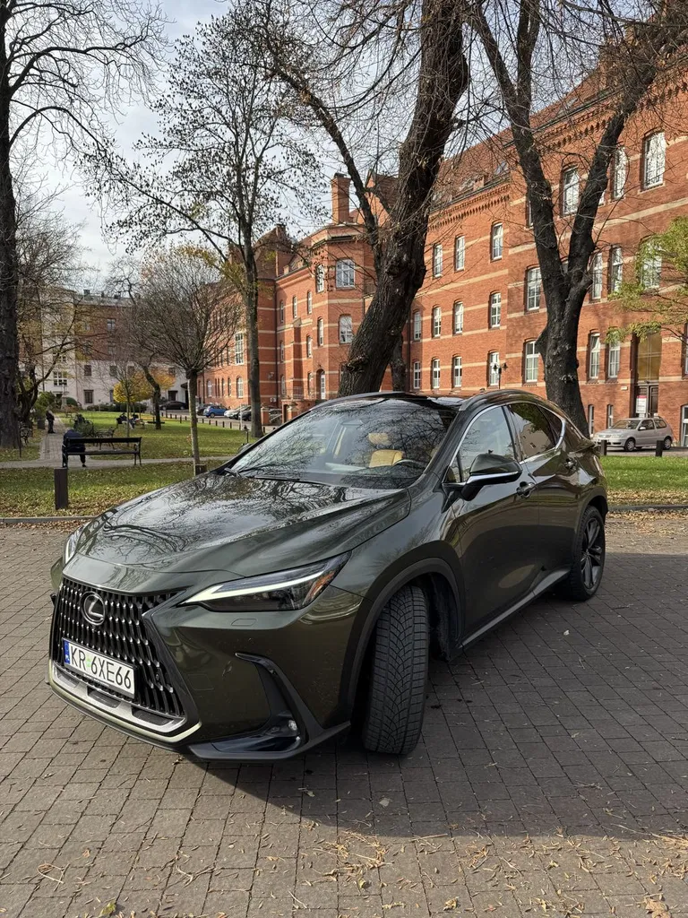 Zdjęcie: 2022 Lexus NX