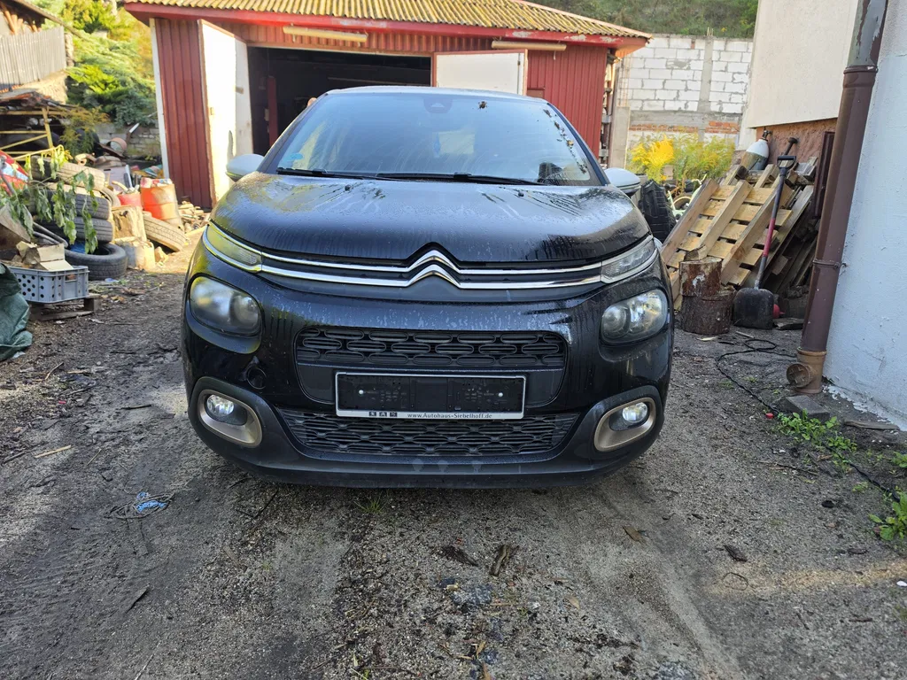 Zdjęcie: 2019 Citroen C3