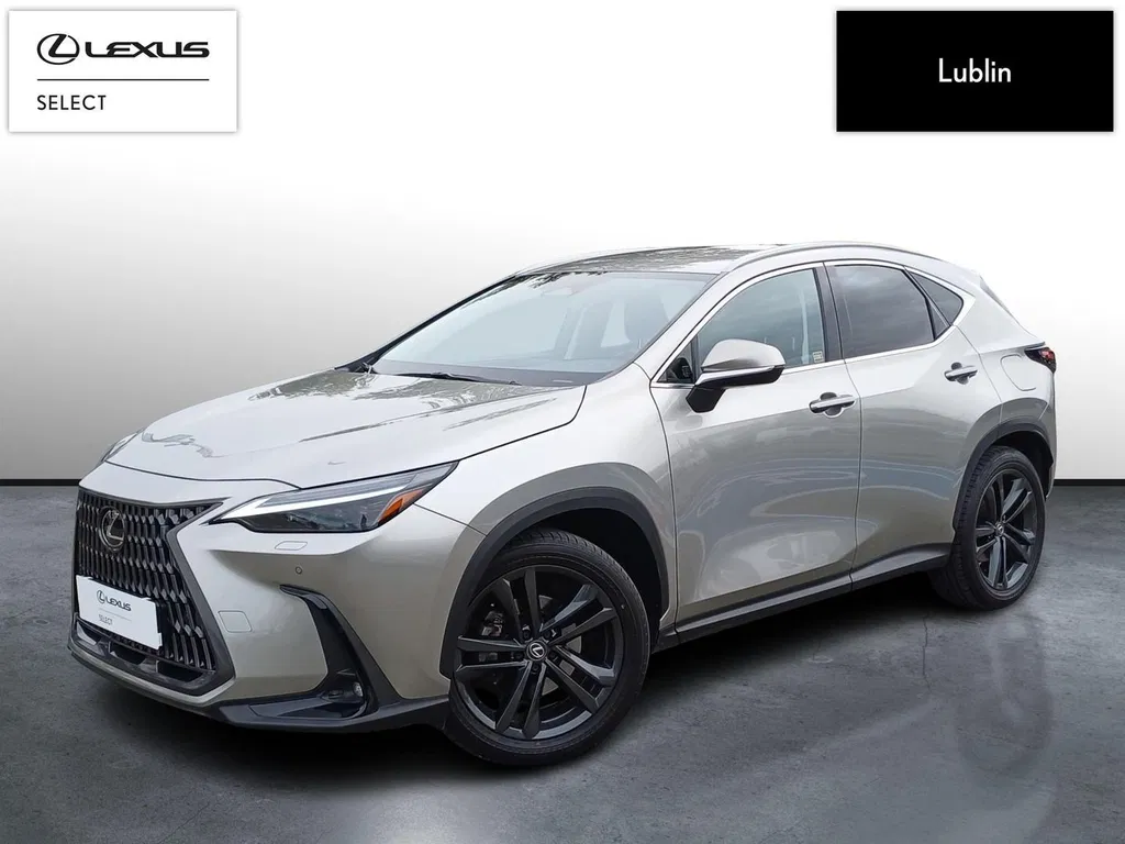 Zdjęcie: 2024 Lexus NX
