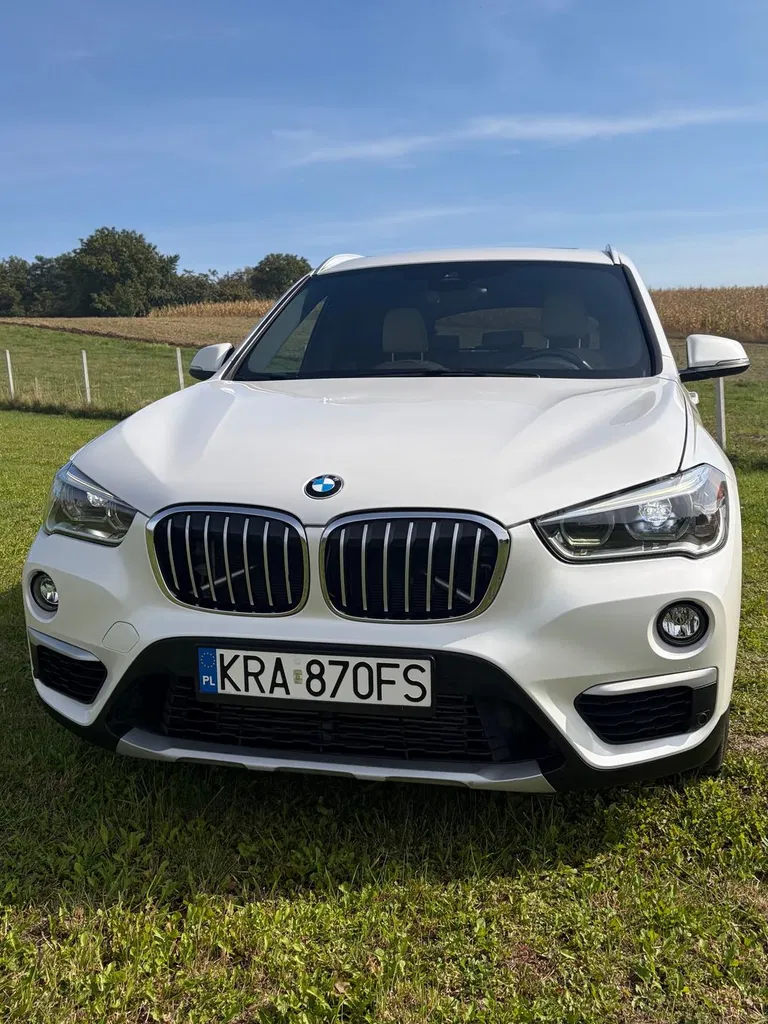 Zdjęcie: 2017 BMW X1