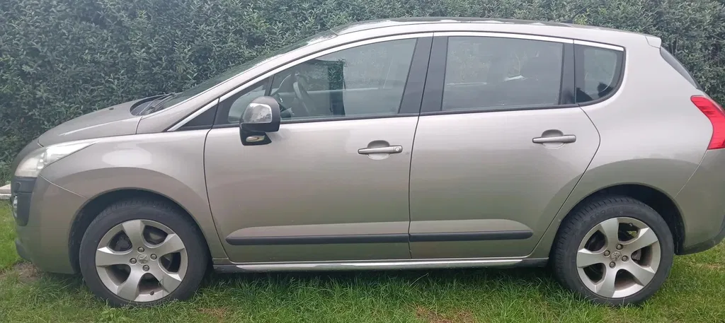 Zdjęcie: 2010 Peugeot 3008