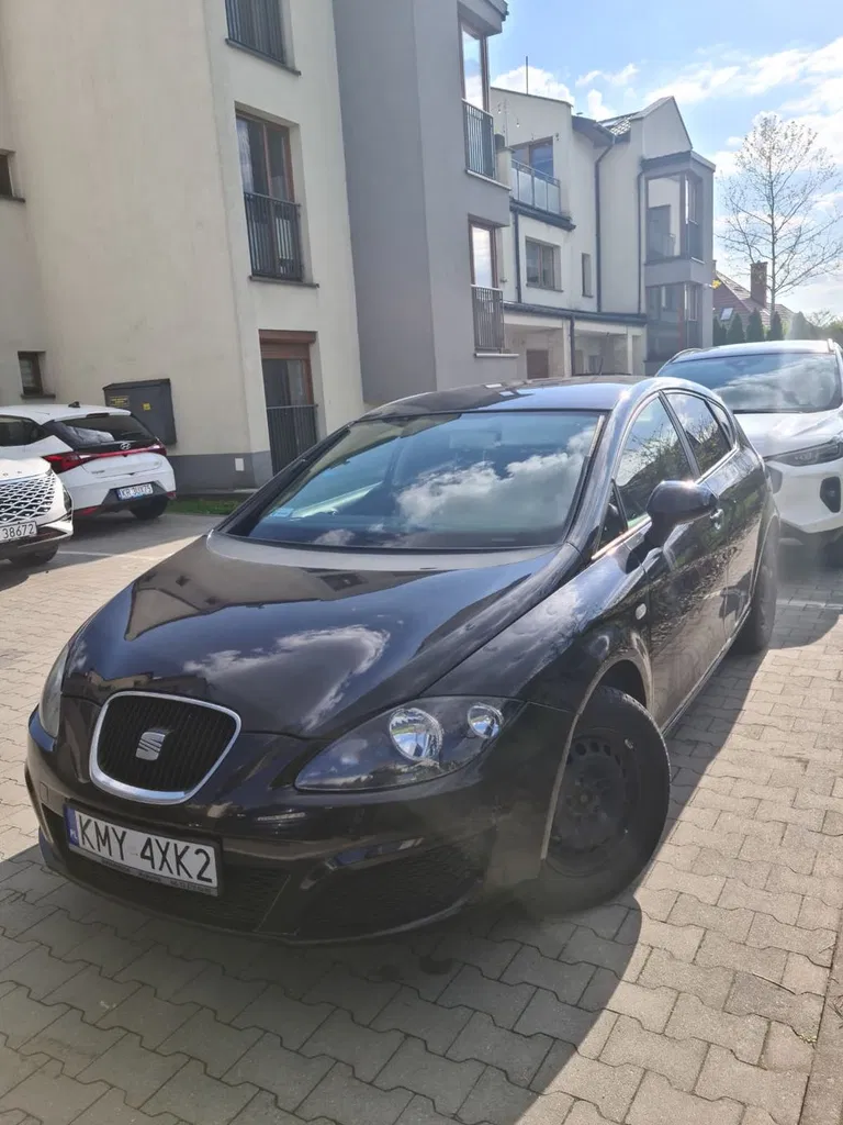 Zdjęcie: 2010 Seat Leon