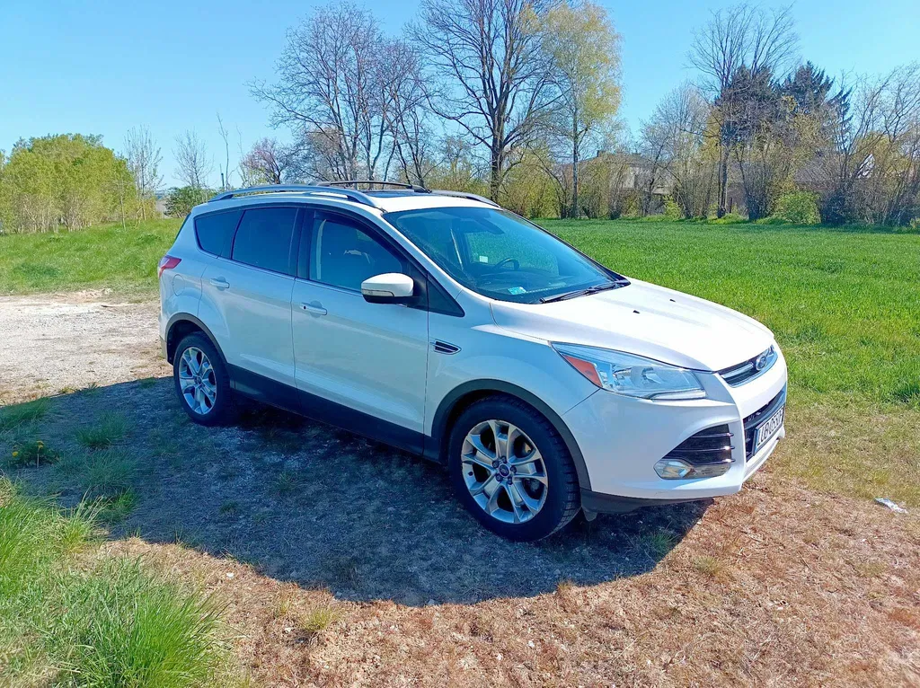 Zdjęcie: 2014 Ford Escape