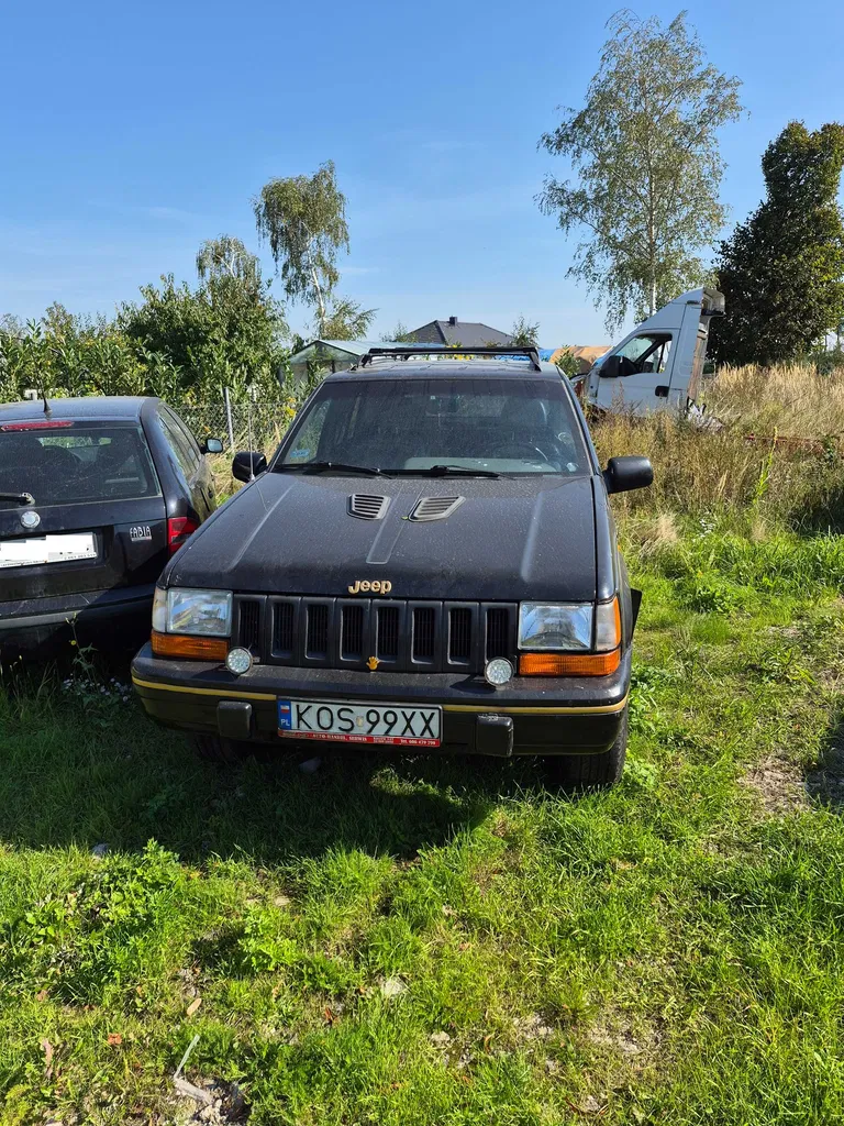 Zdjęcie: 1994 Jeep Grand Cherokee