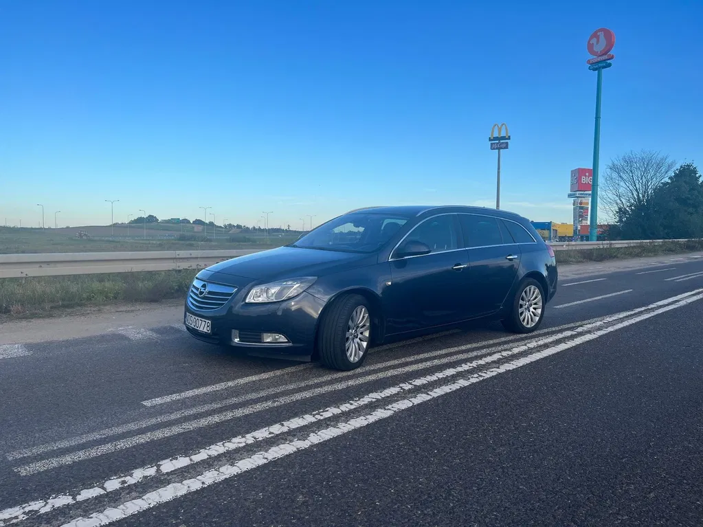 Zdjęcie: 2009 Opel Insignia