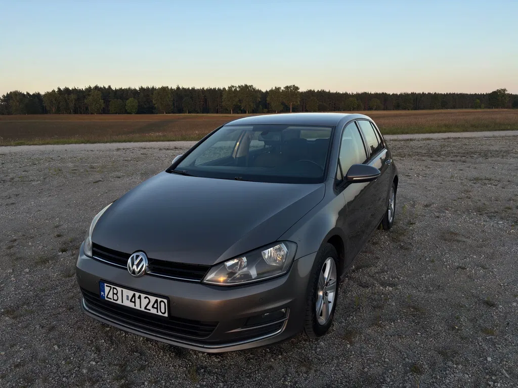 Zdjęcie: 2014 Volkswagen Golf