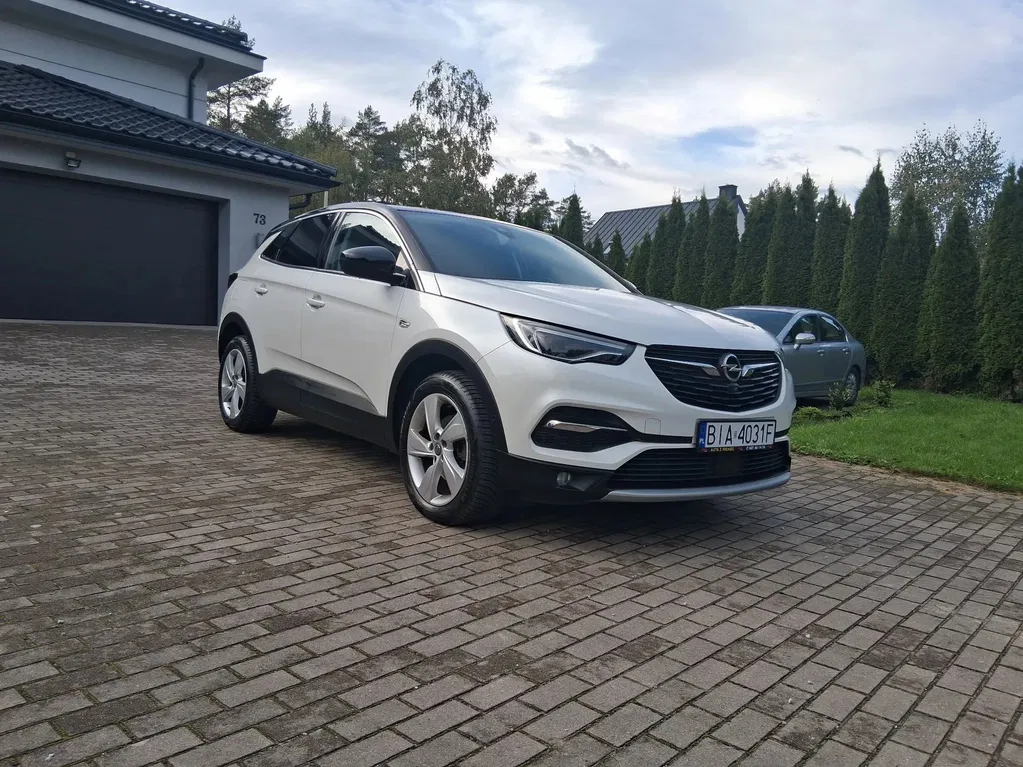 Zdjęcie: 2019 Opel Grandland X