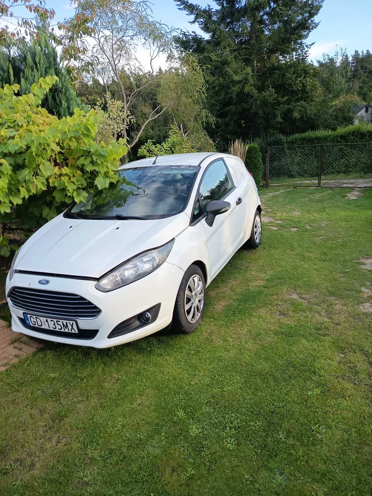 Zdjęcie: 2013 Ford Fiesta