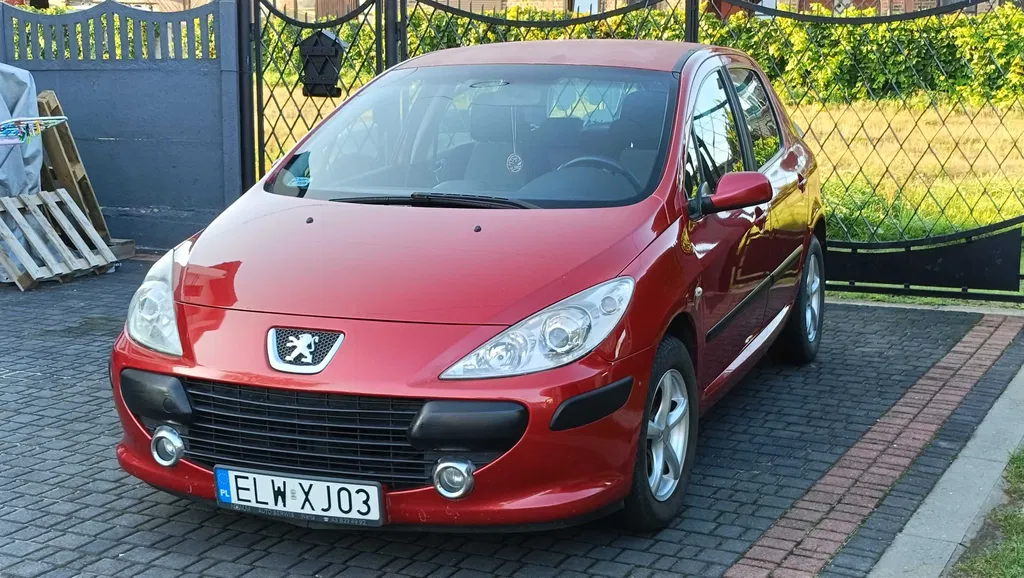 Zdjęcie: 2005 Peugeot 307