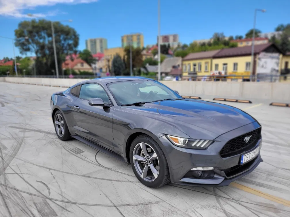 Zdjęcie: 2015 Ford Mustang