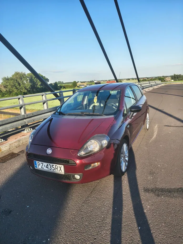 Zdjęcie: 2012 Fiat Punto