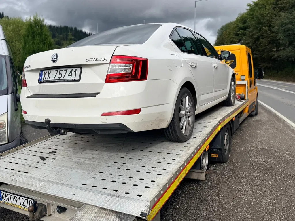 Zdjęcie: 2016 Skoda Octavia