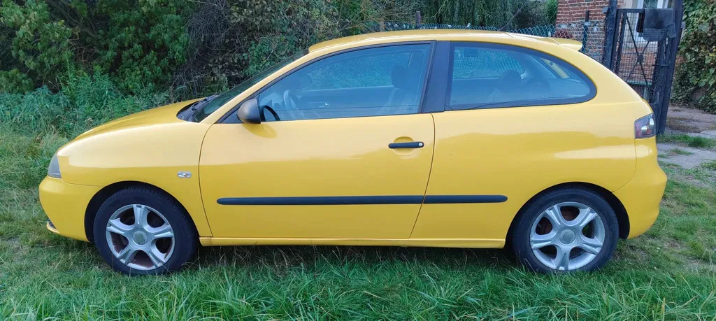 Zdjęcie: 2008 Seat Ibiza