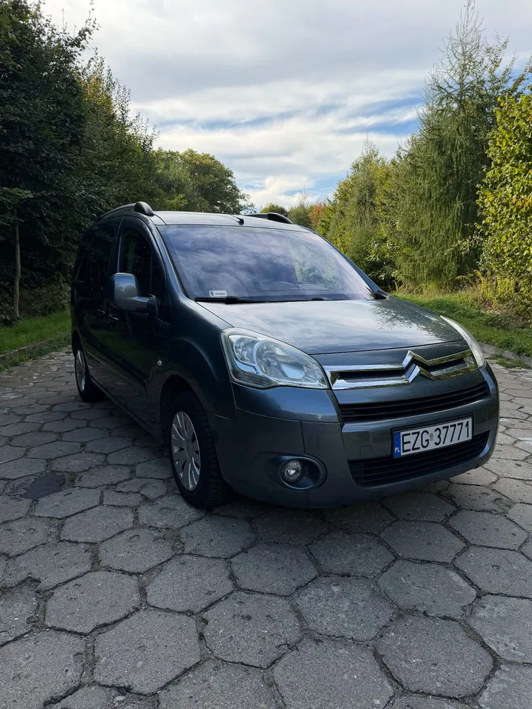 Zdjęcie: 2010 Citroen Berlingo