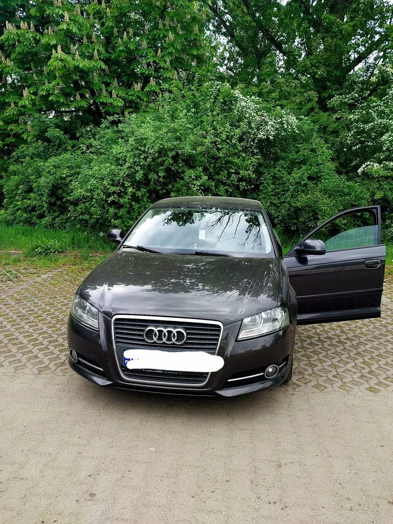 Zdjęcie: 2010 Audi A3 Sportback