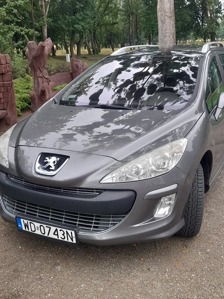 Zdjęcie: 2009 Peugeot 308