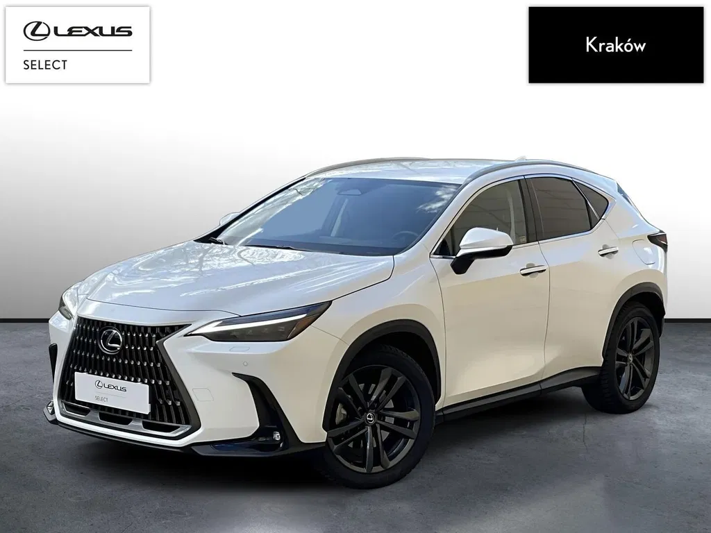 Zdjęcie: 2025 Lexus NX