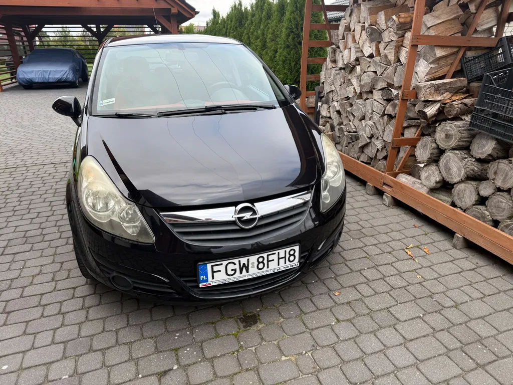 Zdjęcie: 2010 Opel Corsa