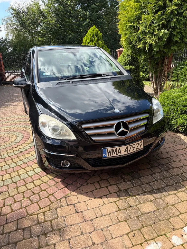 Zdjęcie: 2010 Mercedes-Benz B Klasa