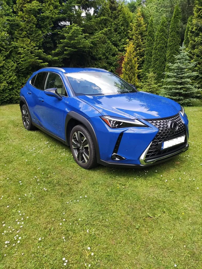 Zdjęcie: 2019 Lexus UX