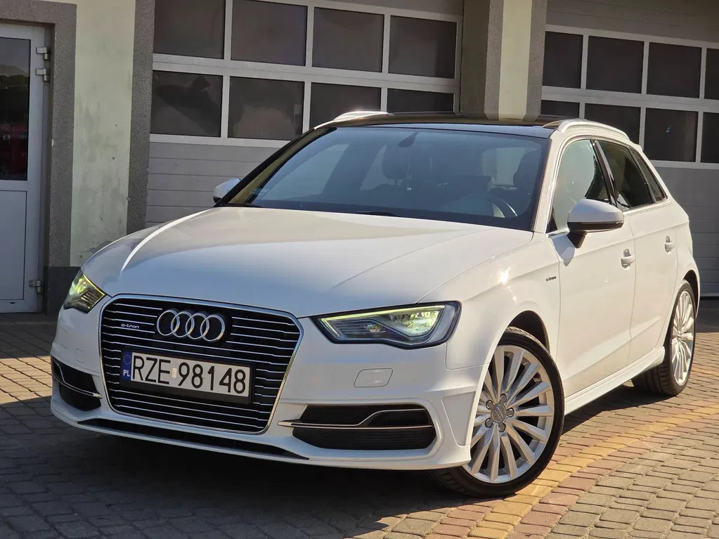 Zdjęcie: 2014 Audi A3 Sportback