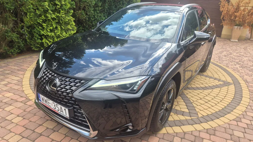 Zdjęcie: 2022 Lexus UX
