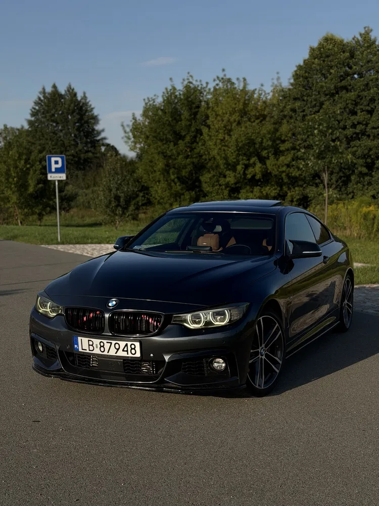 Zdjęcie: 2015 BMW Seria 4