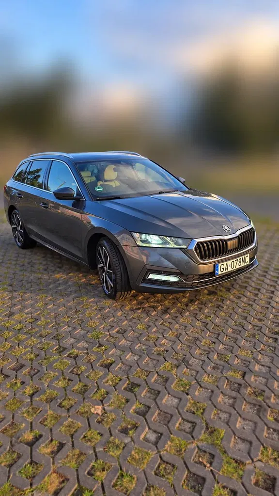 Zdjęcie: 2020 Skoda Octavia