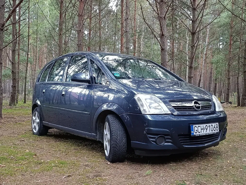 Zdjęcie: 2006 Opel Meriva