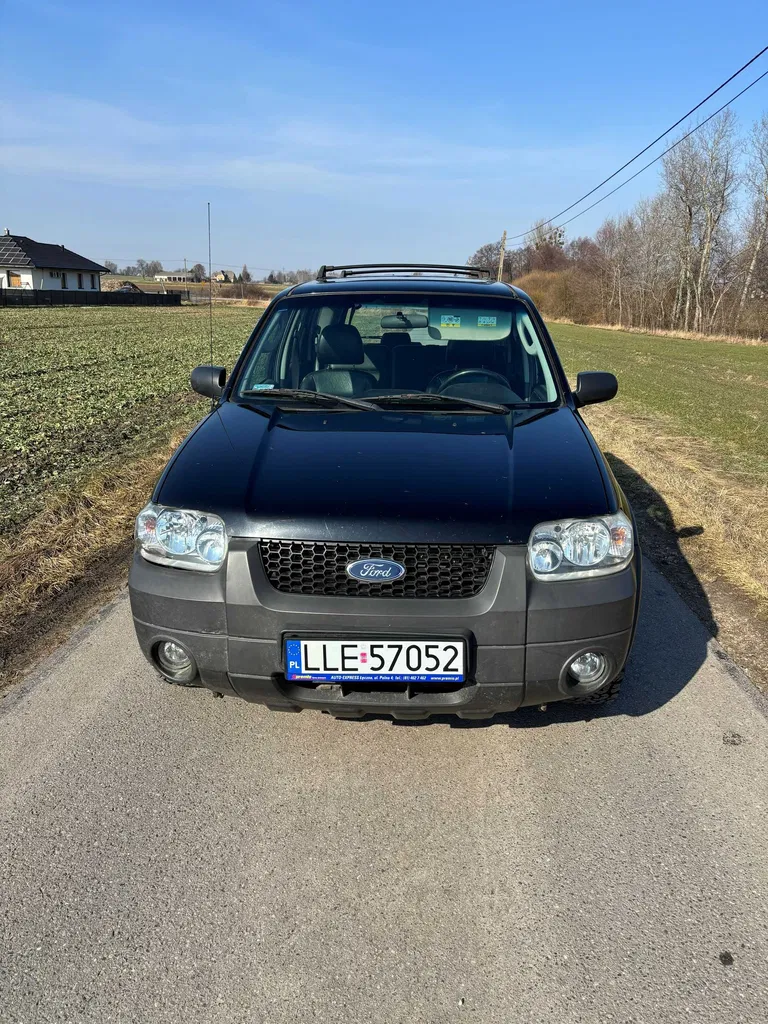 Zdjęcie: 2005 Ford Maverick