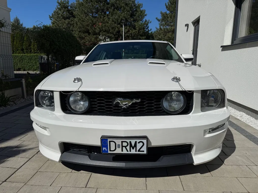 Zdjęcie: 2008 Ford Mustang