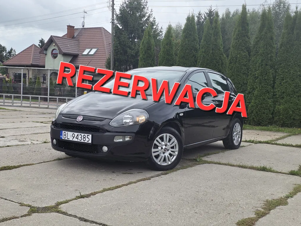 Zdjęcie: 2010 Fiat Punto