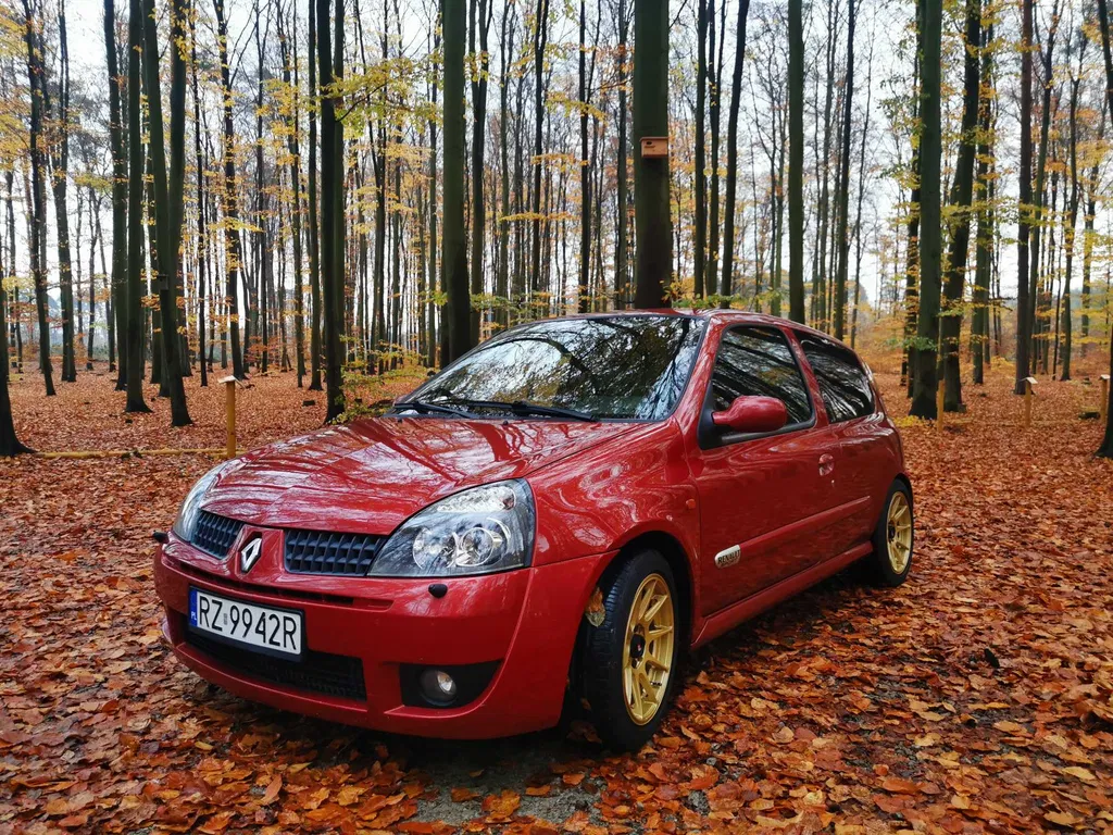 Zdjęcie: 2002 Renault Clio