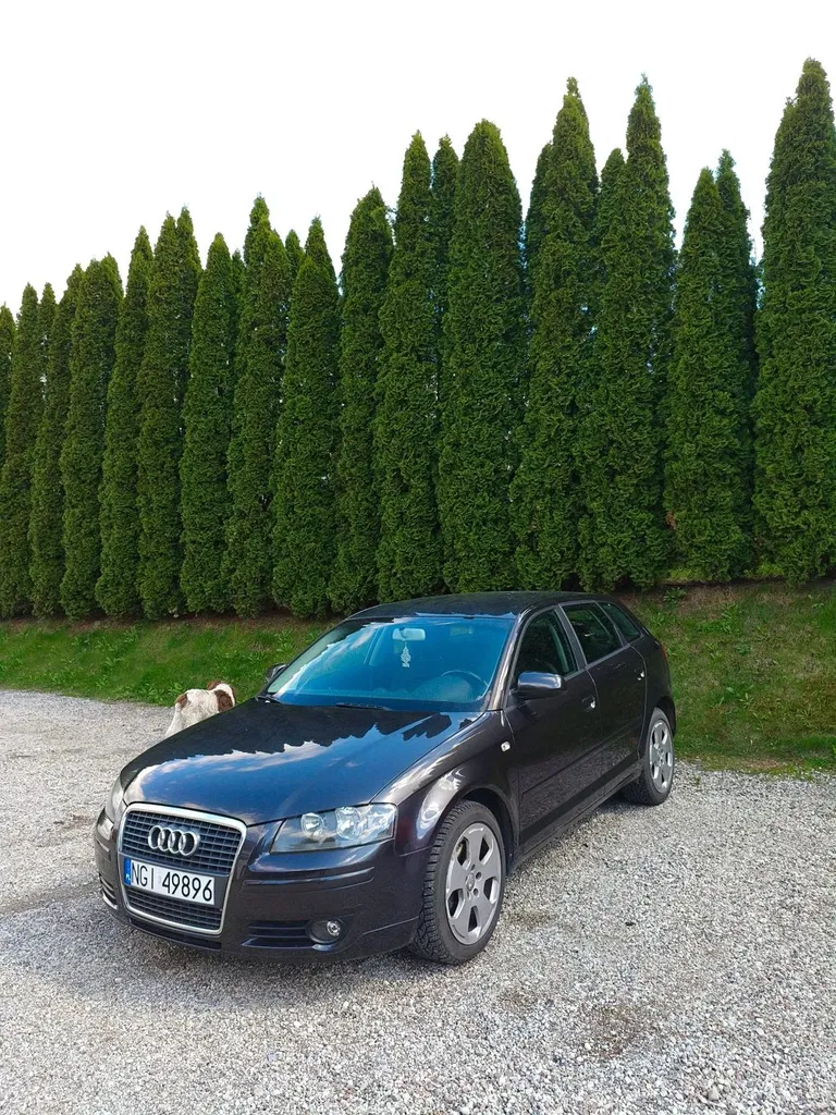 Zdjęcie: 2005 Audi A3 Sportback